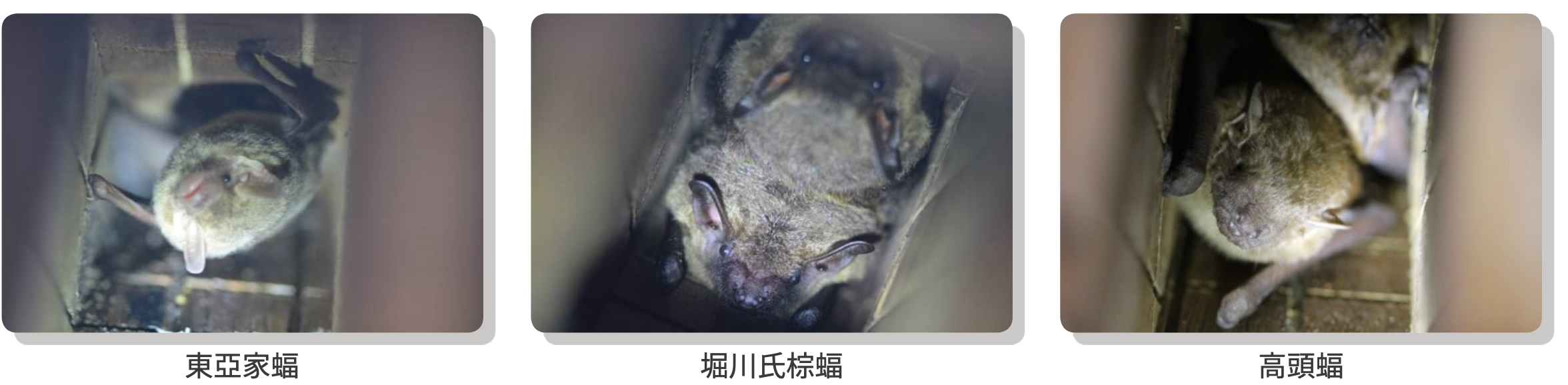 環境生態永續 圖表 6